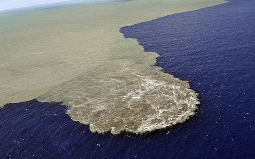 تصاویر برگزیده خبری (2)